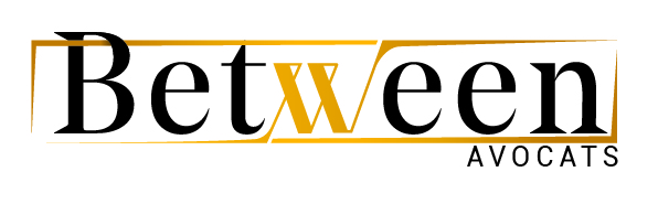 <p><strong><span style="color:#203864">Avocat &agrave; la cour</span></strong></p>